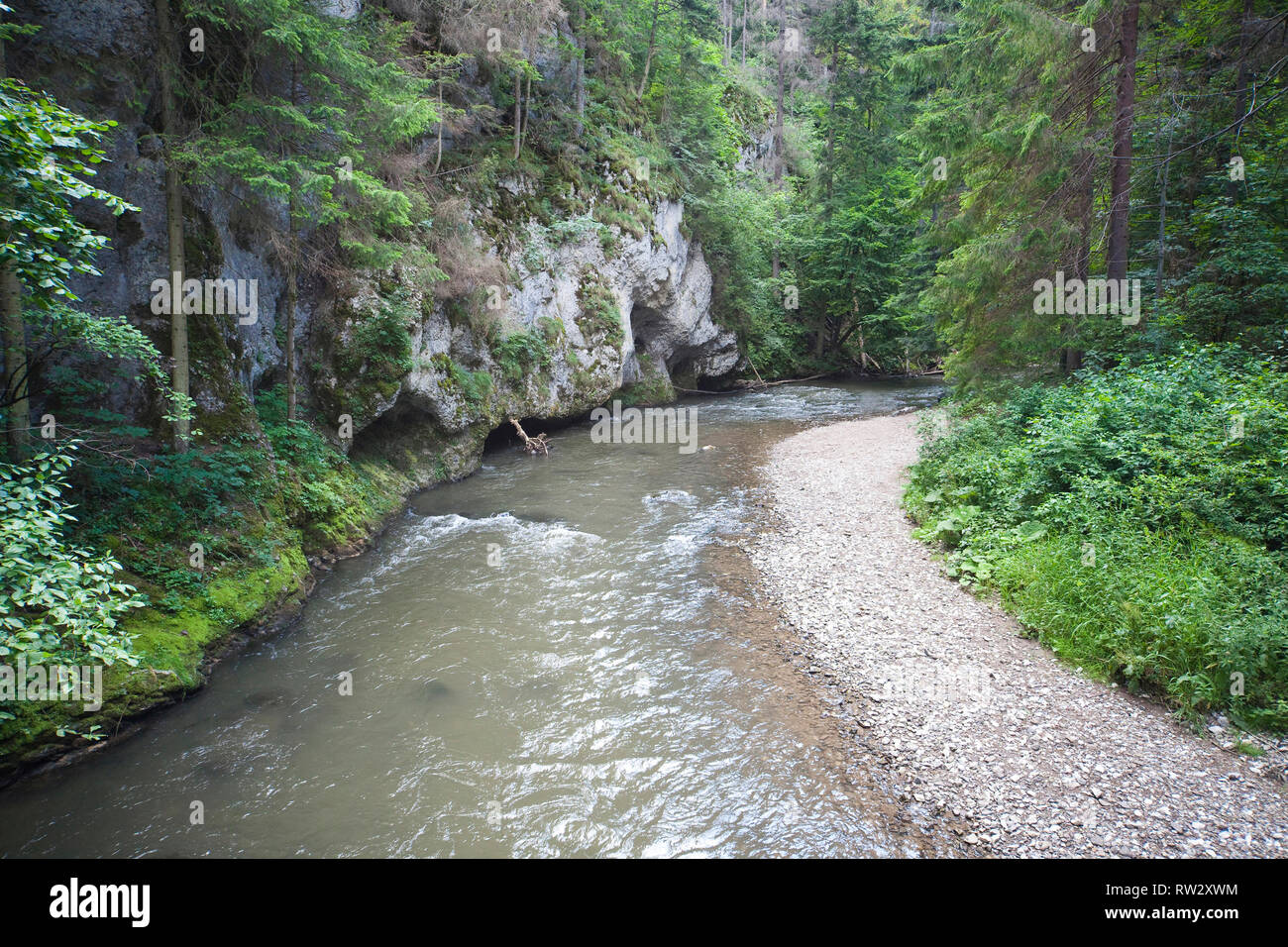 Fiume di montagna - Paradiso Slovacco Parco Nazionale Foto Stock