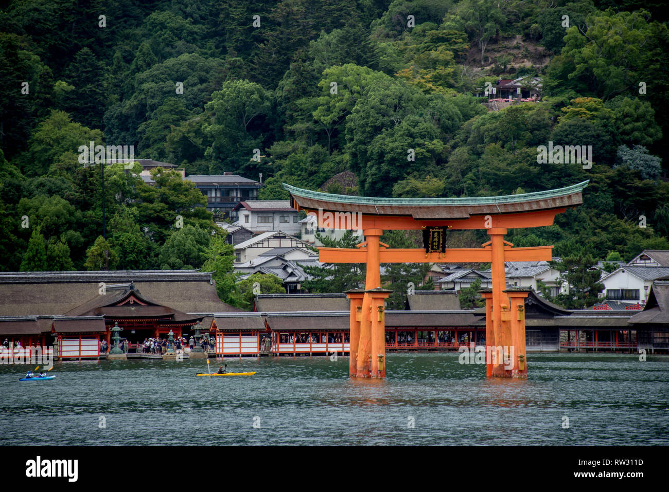 Asia, Giappone, Itsukushima, Miyajima Foto Stock