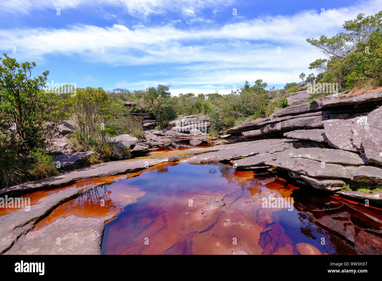 A Cachoeira Da Fumaca, Cascata di fumo, con piccolo lago presso la sorgente, Chapada Diamantina, il Parco Nazionale del Brasile Foto Stock