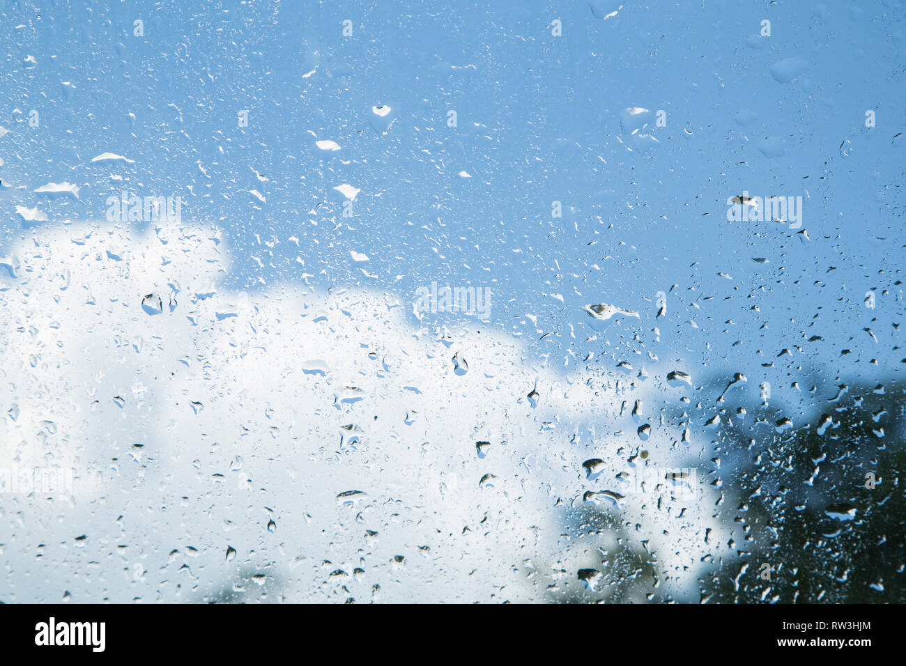 Gocce d'acqua su una finestra Foto Stock