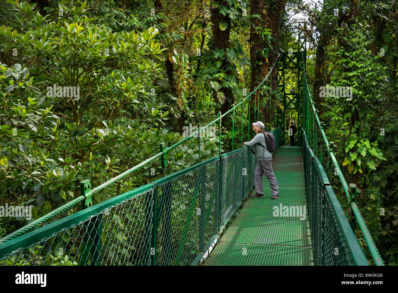Tourist sul ponte sospeso a piedi a Monteverde Cloud Forest,Costa Rica,l'America centrale Foto Stock