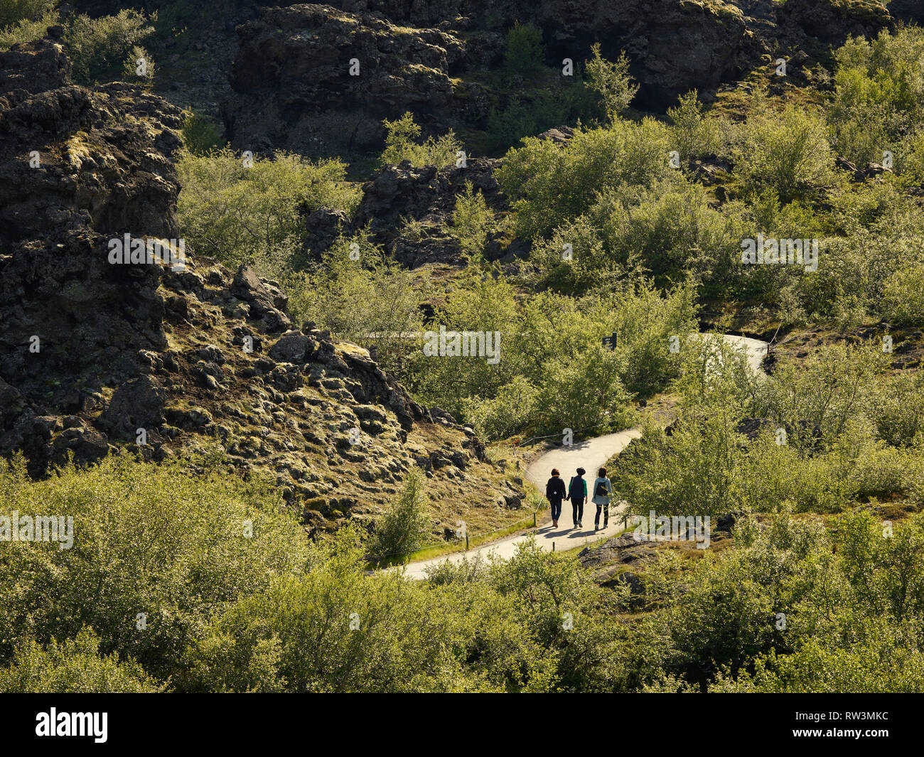 Dimmuborgir -area di forma inusuale campi di lava, grotta e formazioni di roccia vulcanica, a est di Myvatn, Islanda. Foto Stock
