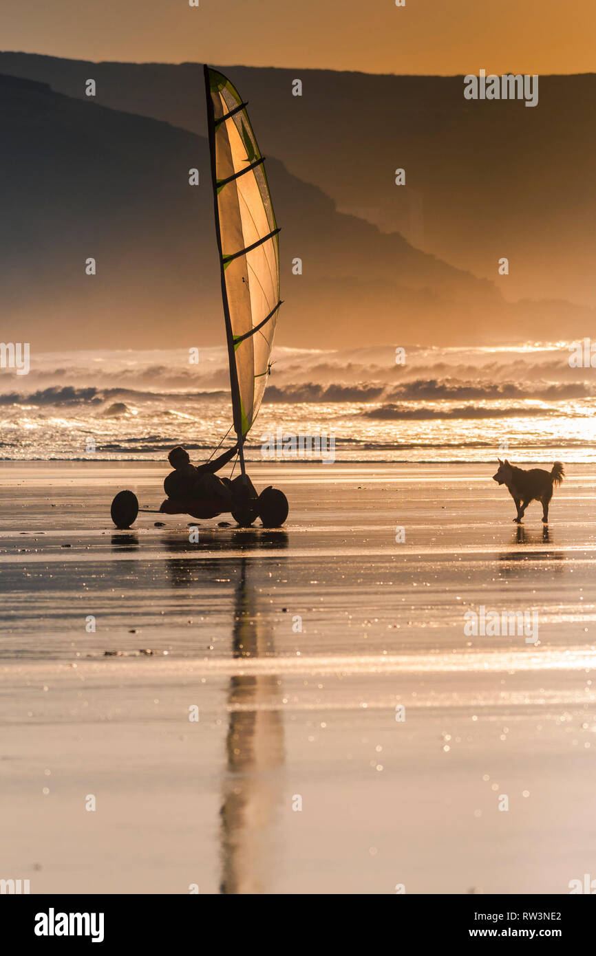 Luce della Sera su Fistral come un cane corre dopo un yacht di sabbia. Foto Stock