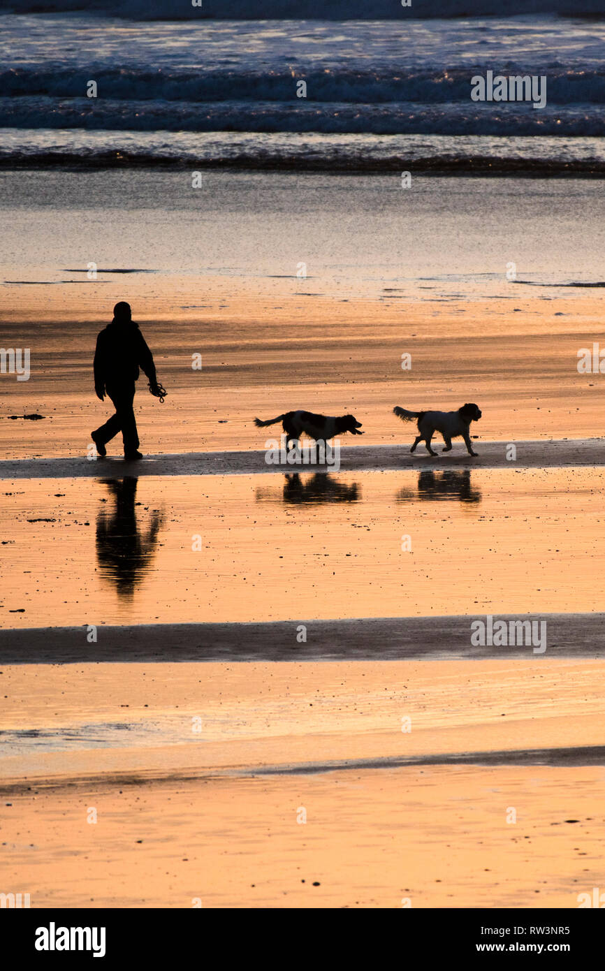 Un uomo e i suoi due cani visto in silhouette attraversando a piedi Fistral Bech al tramonto in Newquay Cornwall. Foto Stock
