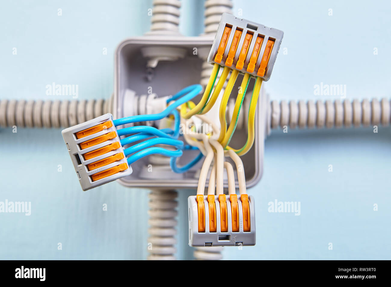 Home scatola di derivazione cablaggio con fili collegati con l aiuto della  morsettiera collegabile Foto stock - Alamy