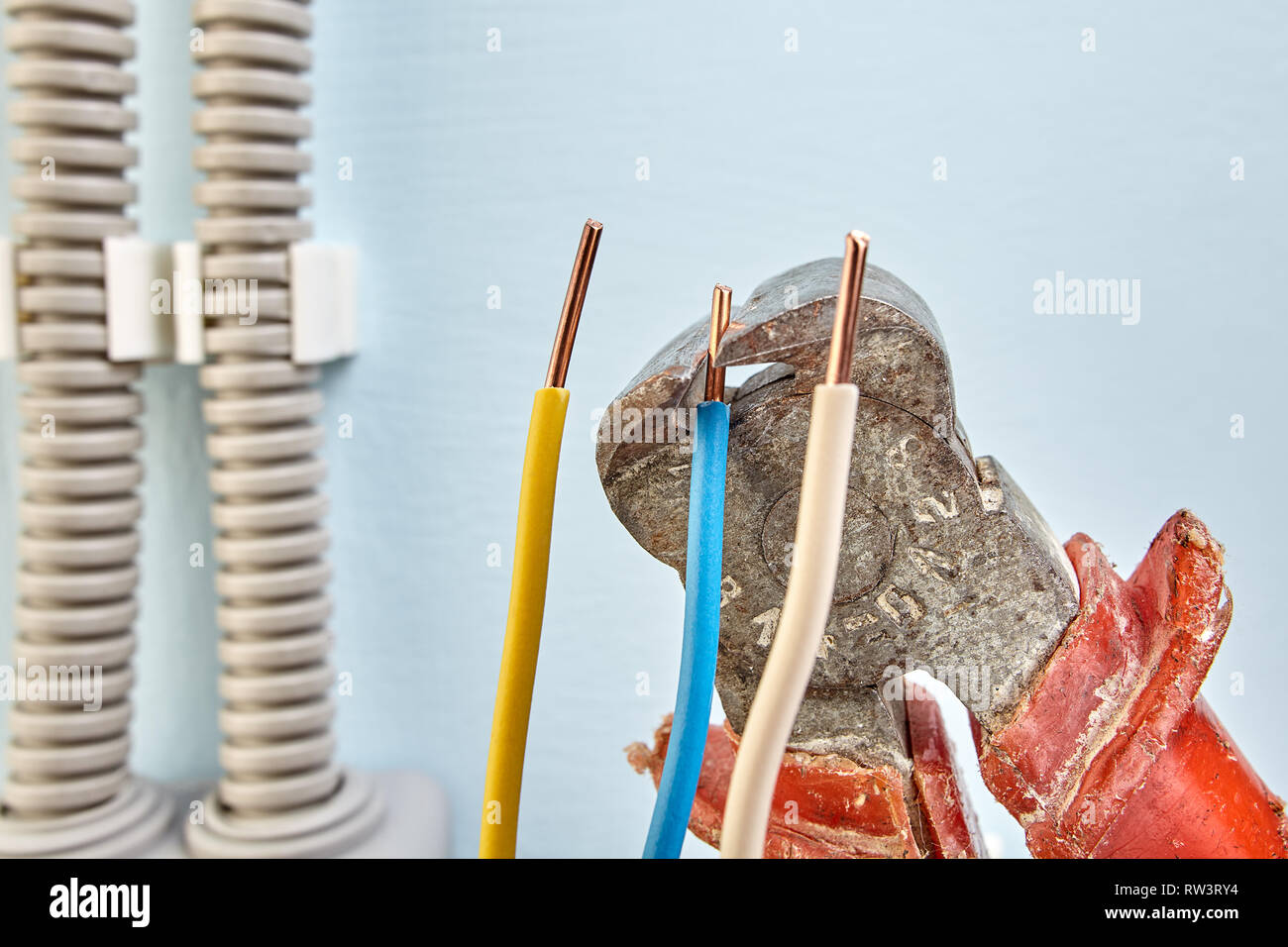 I fili di taglio con pinze in plastica per scatola di giunzione progettate per il montaggio su superficie, close-up. Foto Stock