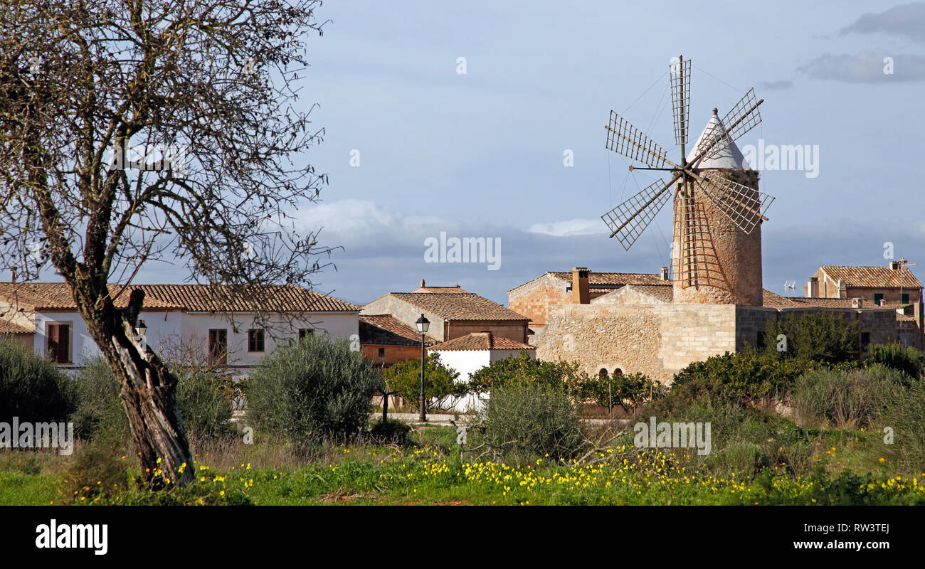 Algadia, Mallorca, Spagna, 17 dicembre 2018 un vecchio mulino a vento nella città Foto Stock