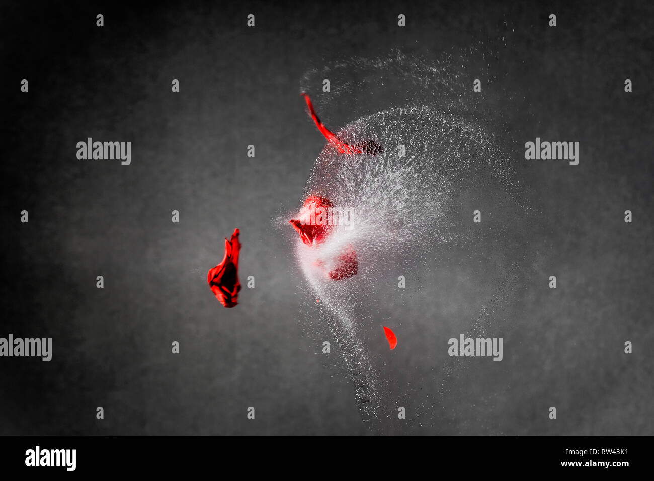 Highspeed cattura del palloncino rosso pezzi e gocce d'acqua schizzi via dopo il colpo di pistola di fronte a uno sfondo scuro Foto Stock