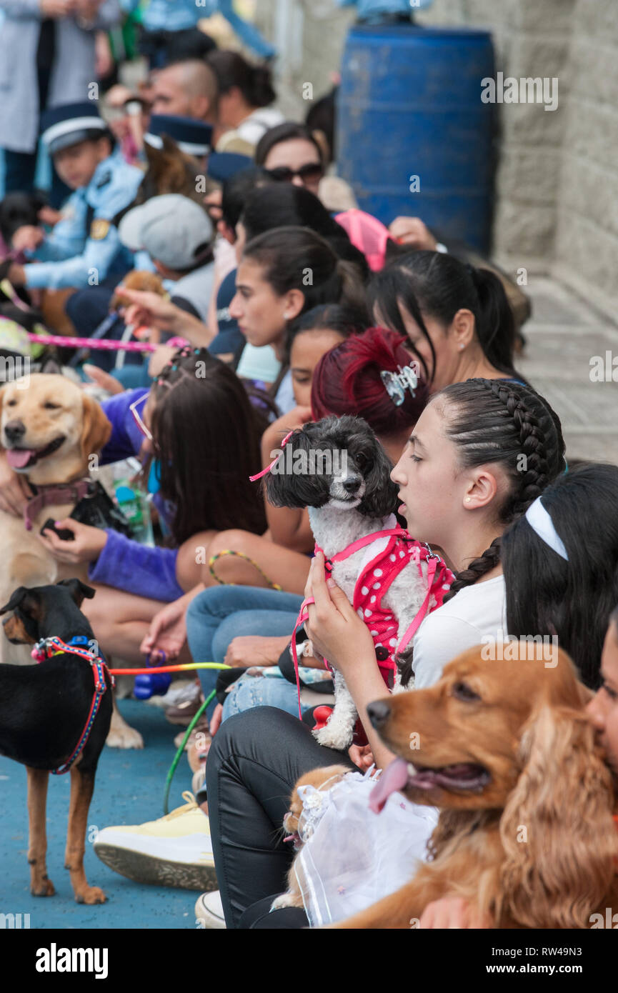 Donmatias, Antioquia. Colombia: Caminata de Mascotas. Estadio Bicentenario. Foto Stock