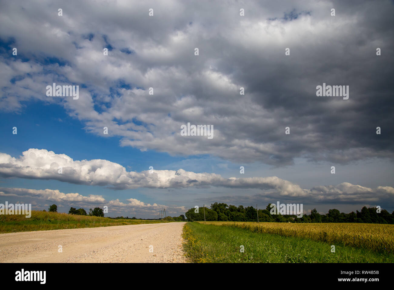 Paesaggio estivo con vuoto road, alberi e cielo blu.. Strada rurale, cornfield, legno e nuvoloso cielo blu. Classico paesaggio rurale in Lettonia. Foto Stock