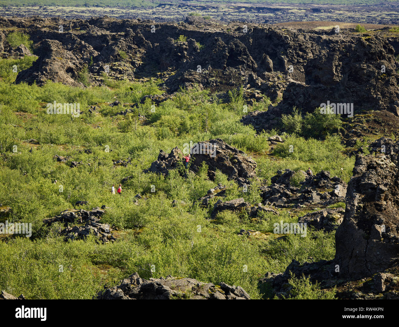 Dimmuborgir -area di forma inusuale campi di lava, grotta e formazioni di roccia vulcanica, a est di Myvatn, Islanda. Foto Stock