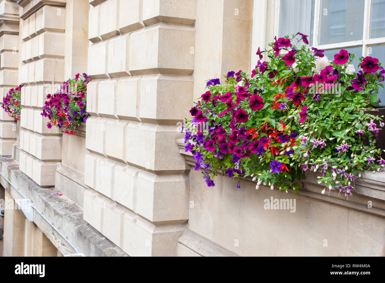 Imponente e colorato le caselle della finestra al di fuori della camera della pompa in bagno, N.E. Il Somerset, Inghilterra, Regno Unito Foto Stock