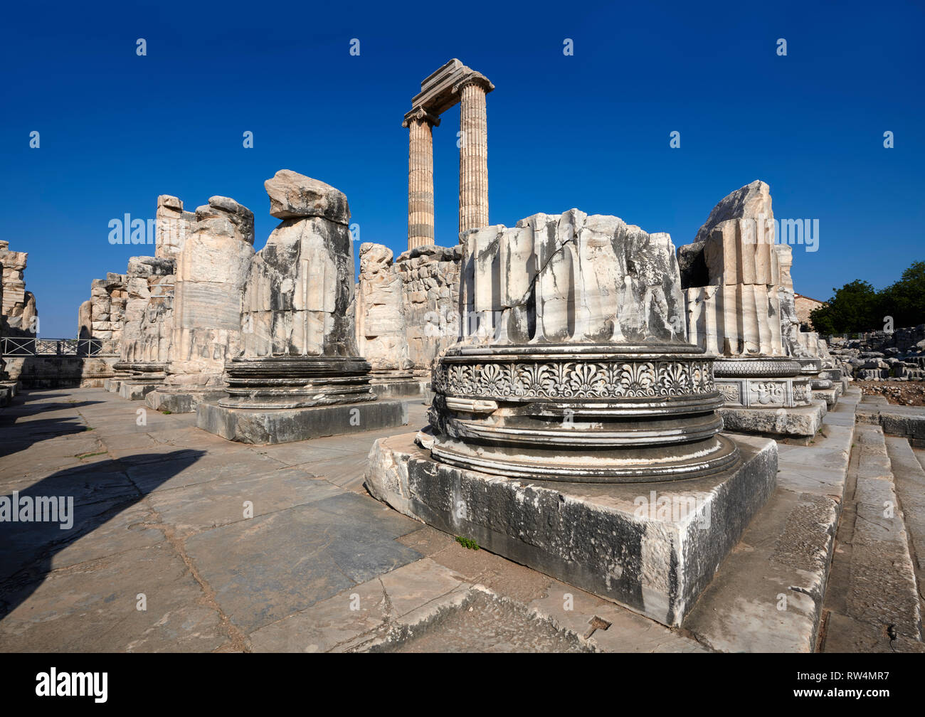 Immagine dello Ionio le colonne delle rovine dell' Antica Grecia Ionica Didyma Tempio di Apollo e home per l'oracolo di Apollo. Noto anche come il fatto Foto Stock