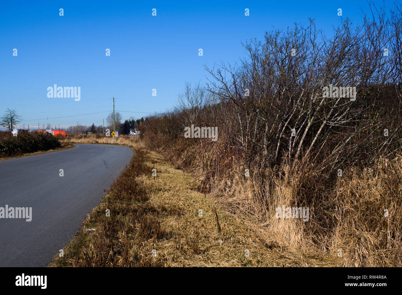 Mud Bay Park a Surrey, British Columbia, Canada Foto Stock