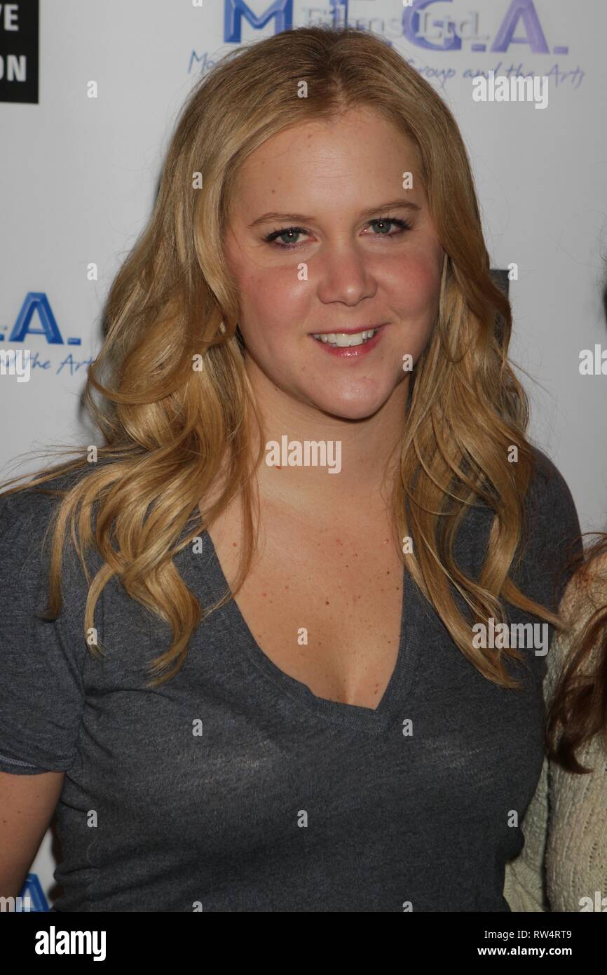 AMY SCHUMER 2015 foto da John Barrett/il PHOTOlink Foto Stock