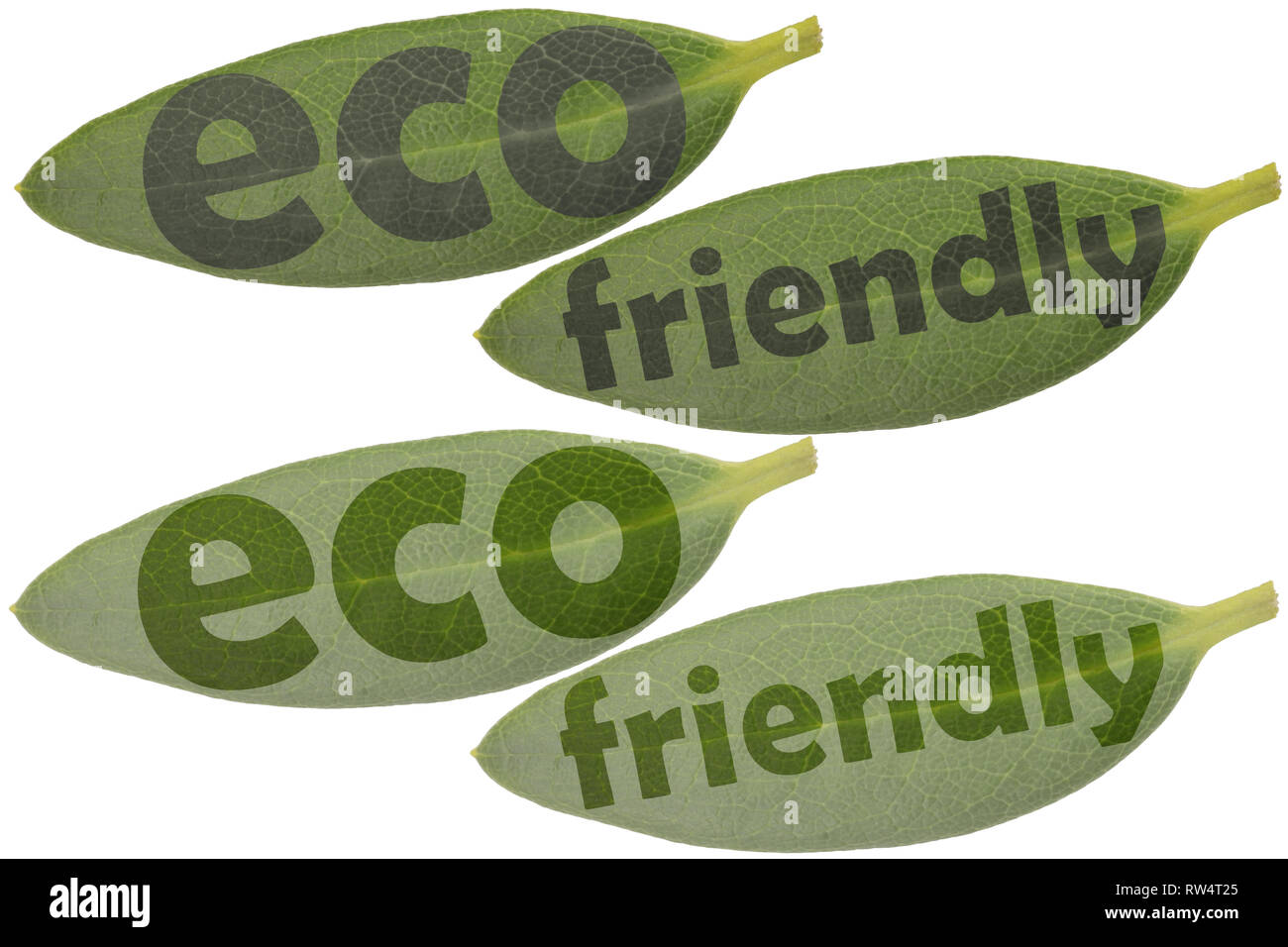 Set di foglie in primo piano e le parole evidenziate e eco friendly - simboli da utilizzare come riferimento per i prodotti eco-compatibili Foto Stock