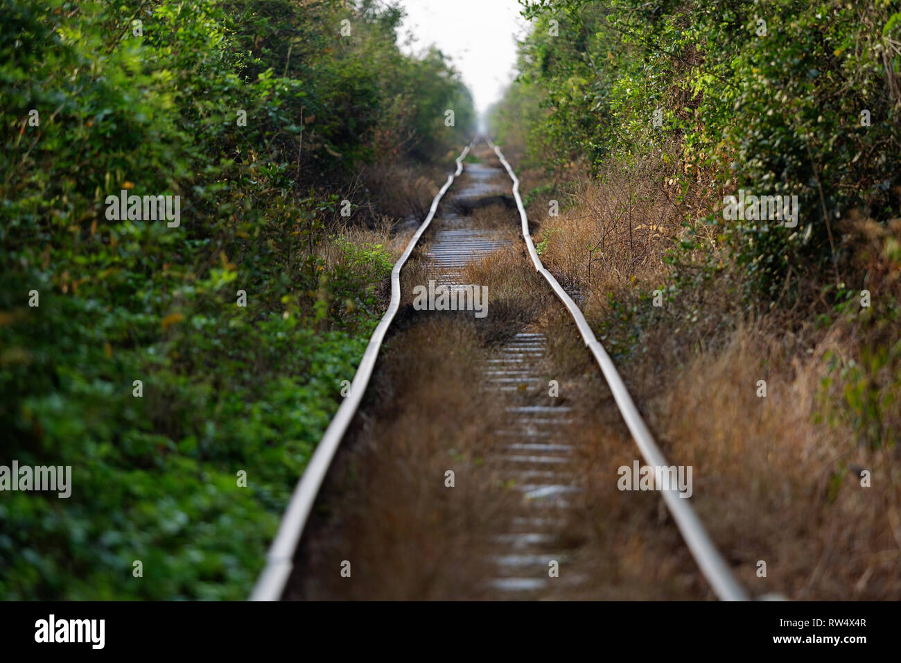 Il bambù treno viaggio, nei pressi di Battambang nel sud-ovest della Cambogia Foto Stock