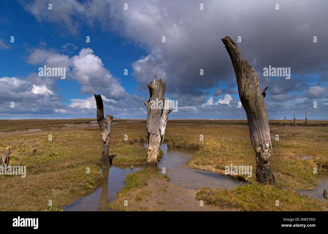 Il grazioso villaggio costiero di Thornham Staithe vicino a Hunstanton in Norfolk Foto Stock