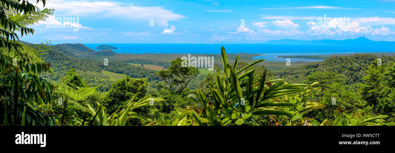 Vista panoramica della foresta pluviale australiana con il Fiume Daintree e costiera Foto Stock