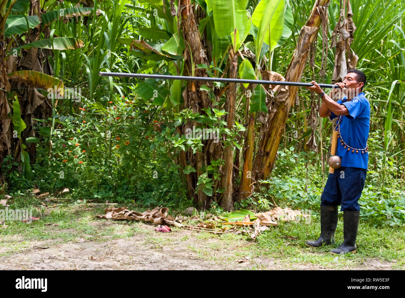 L'uomo; indigeni, sciamano; utilizzando cerbottana; arma, asta lunga, abilità, Amazon tribù nativa; caccia; Amazzonia Foresta pluviale tropicale; Ecuador; Orizzontale; signor Foto Stock