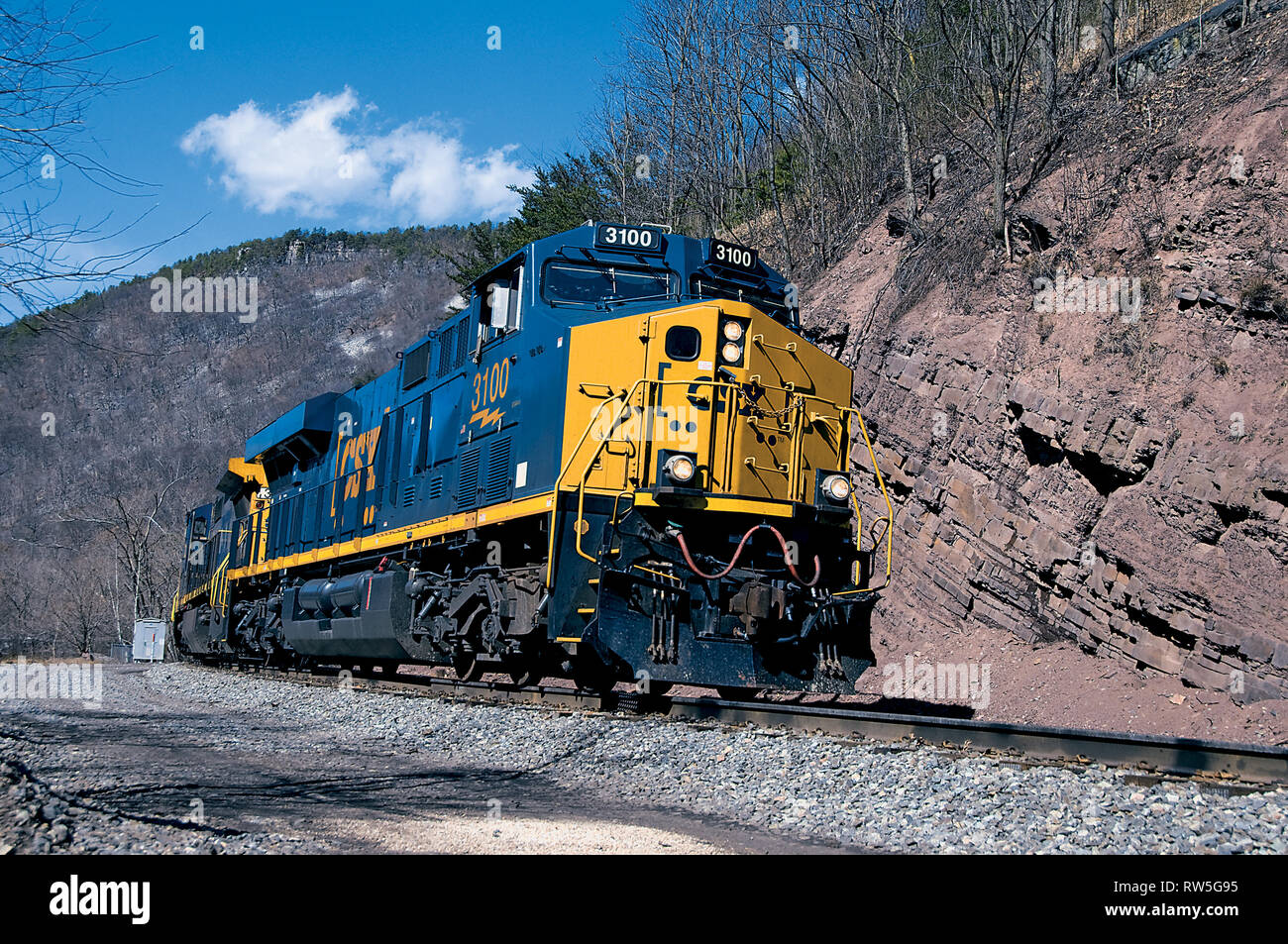 CSX treno merci nel panoramico Foto Stock