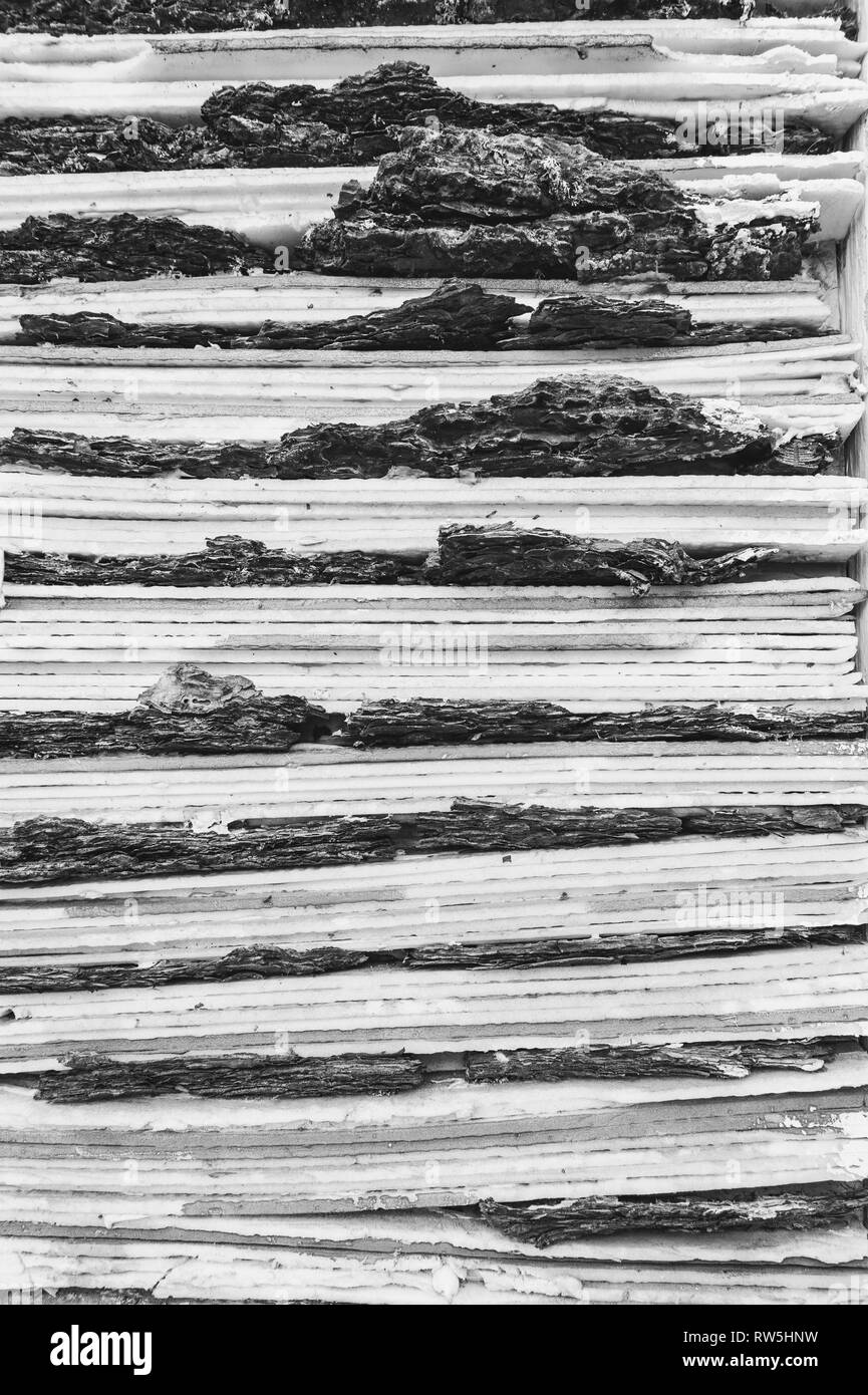 Abstract background testurizzata di cartone ondulato e di corteccia di albero. Foto in bianco e nero. Foto Stock