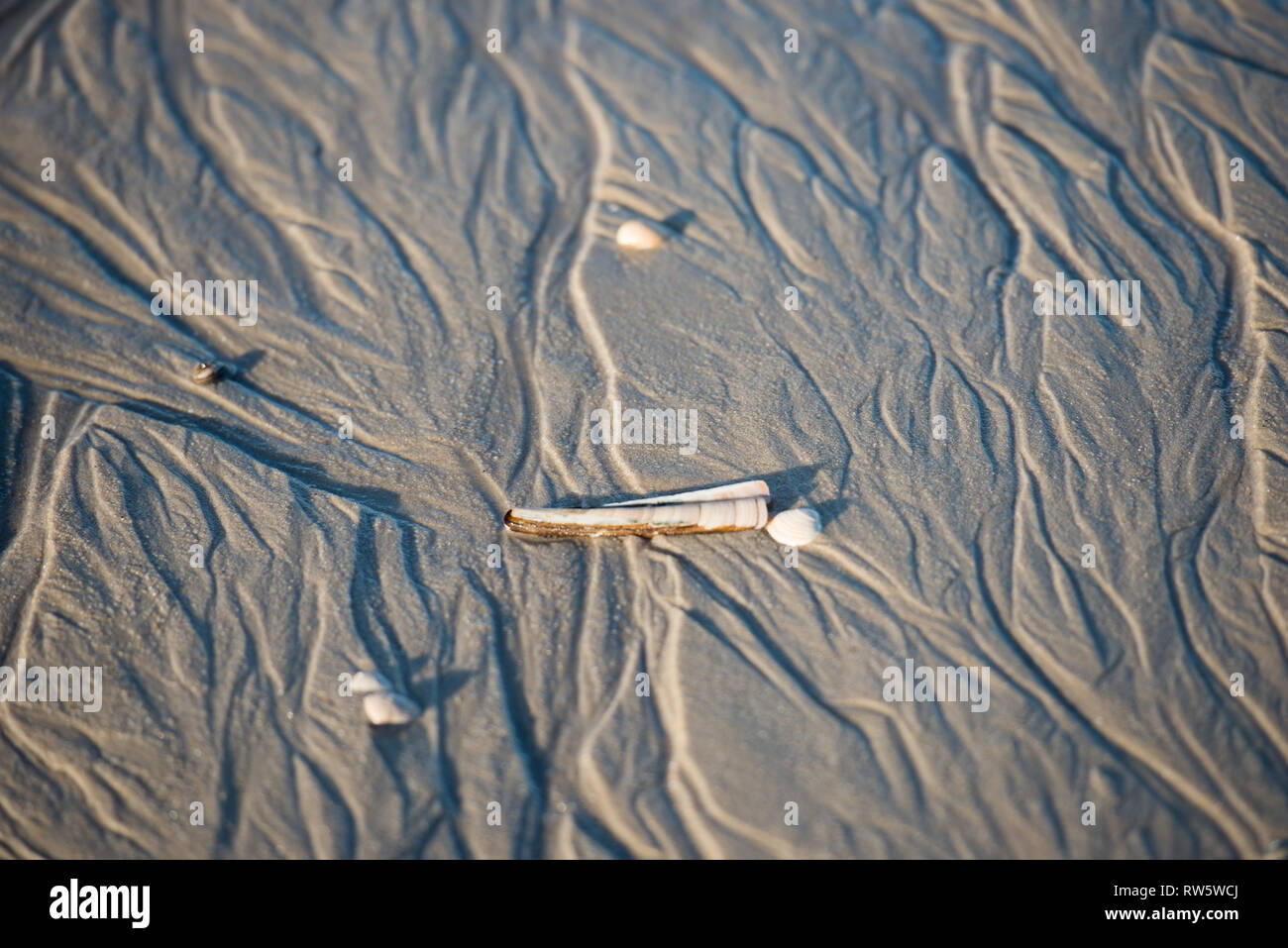 Spiaggia di sabbia che assomiglia a un piccolo fiume sistema delta su una spiaggia con gusci di cozze Foto Stock