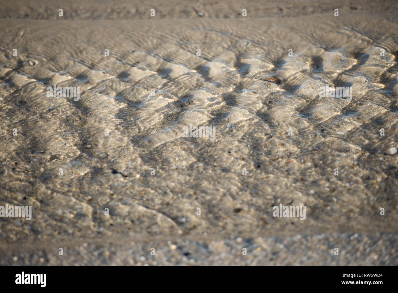 Piccolo fiume sulla sabbia con pietre e sabbia i duroni Foto Stock