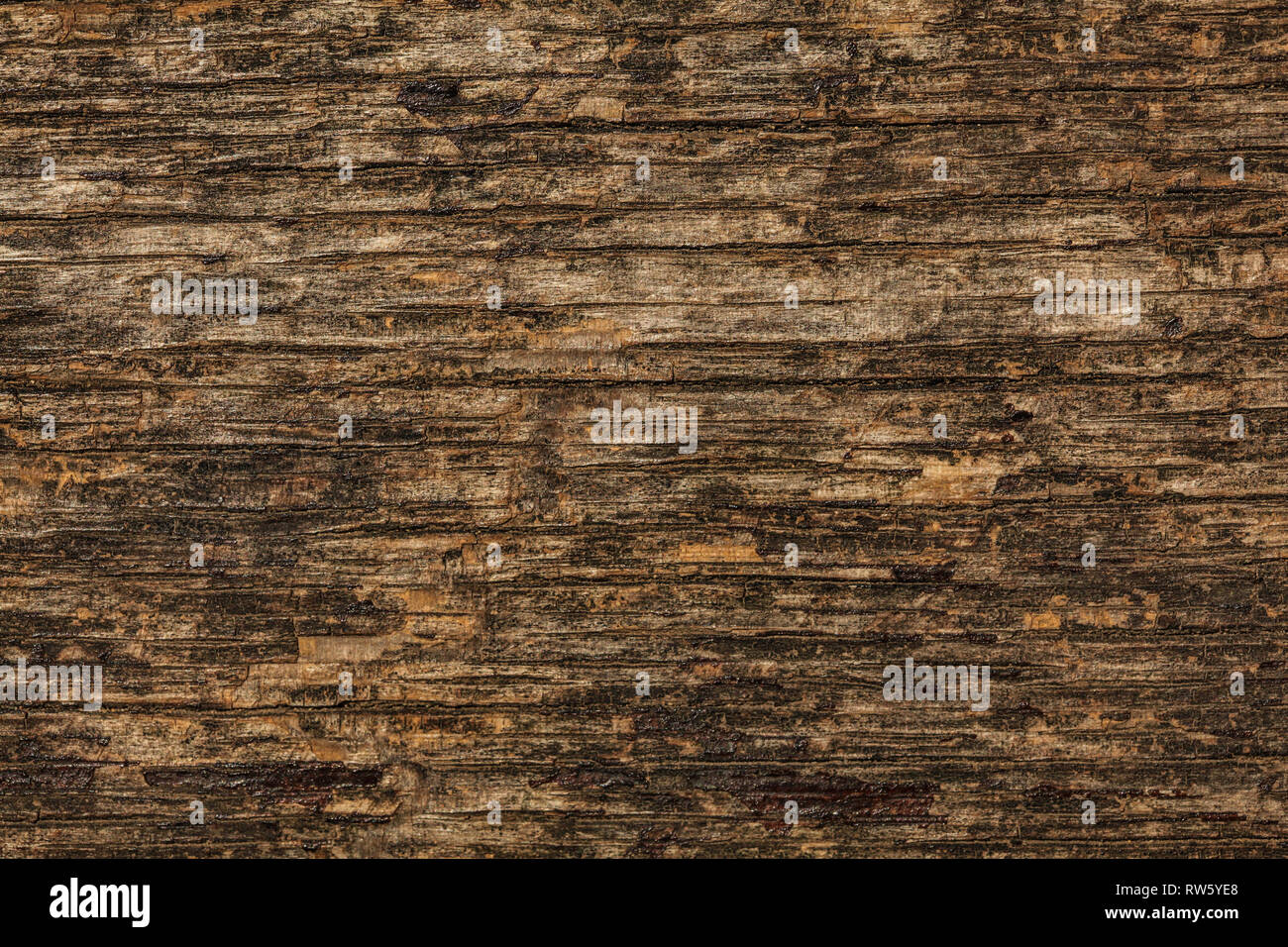Il legno vecchio Texture Detail sul banco di legno. Foto Stock