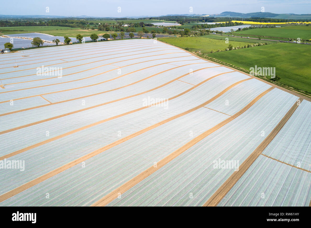 Immagine aerea mostra terreni agricoli contemplati in fogli di plastica vicino a Perth, Perthshire Scozia. Foto Stock