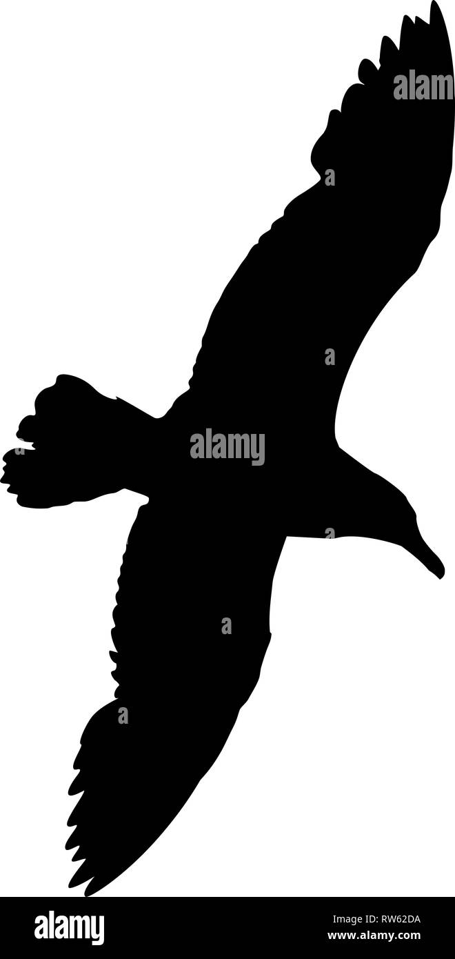 Silhouette di un unico gabbiano con le ali diffusione ampia e aperta, volare alto sopra il mare. Illustrazione Vettoriale