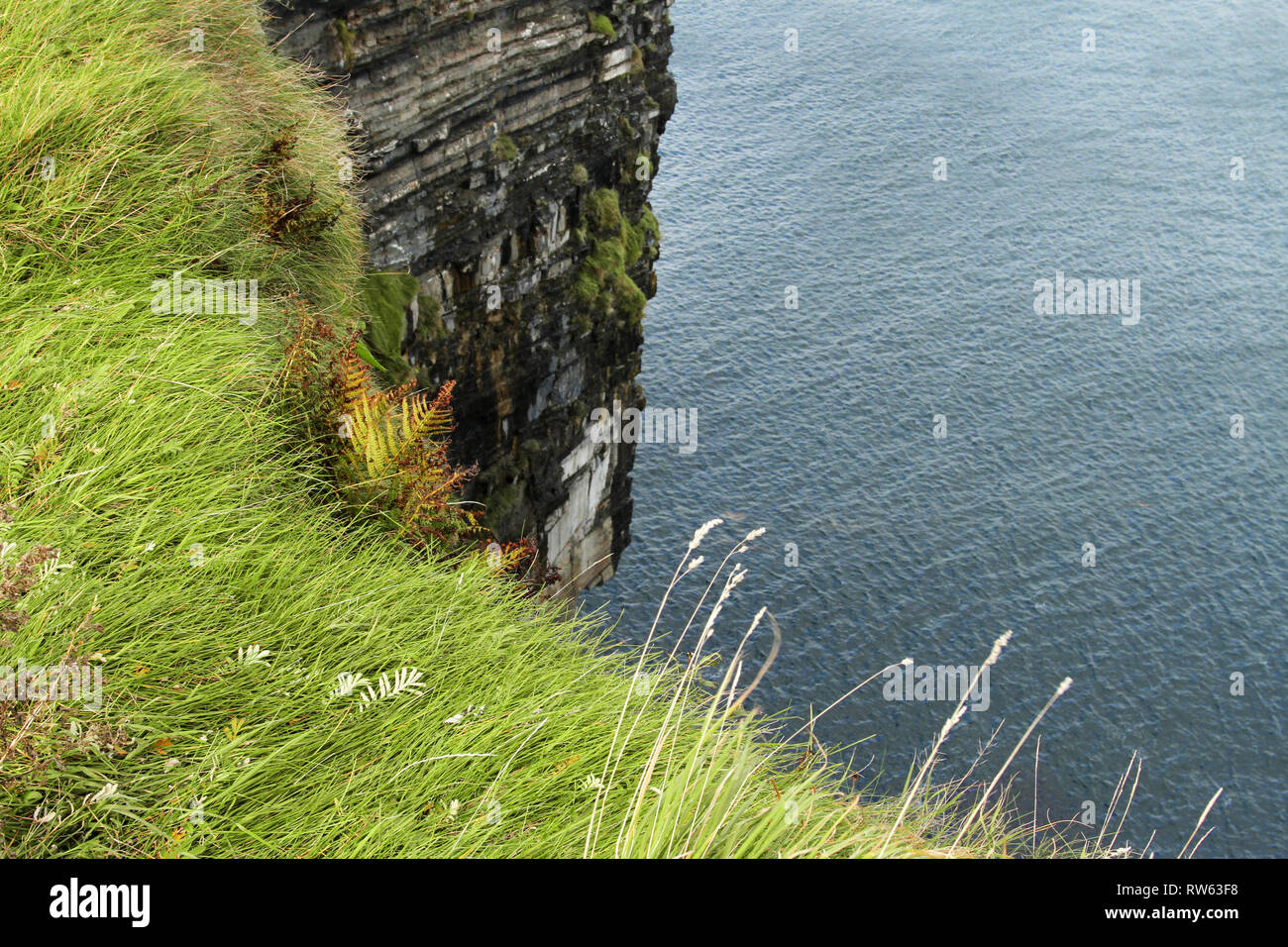 Vista su una ripida scogliera a bordo dell'oceano sotto. Lungo verde erba orlo alla sommità di una rupe alta. Foto Stock