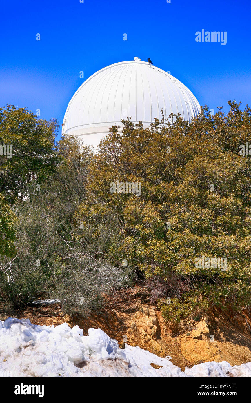 Le cupole del telescopio al Kitt Peak National Observatory in Arizona Foto Stock