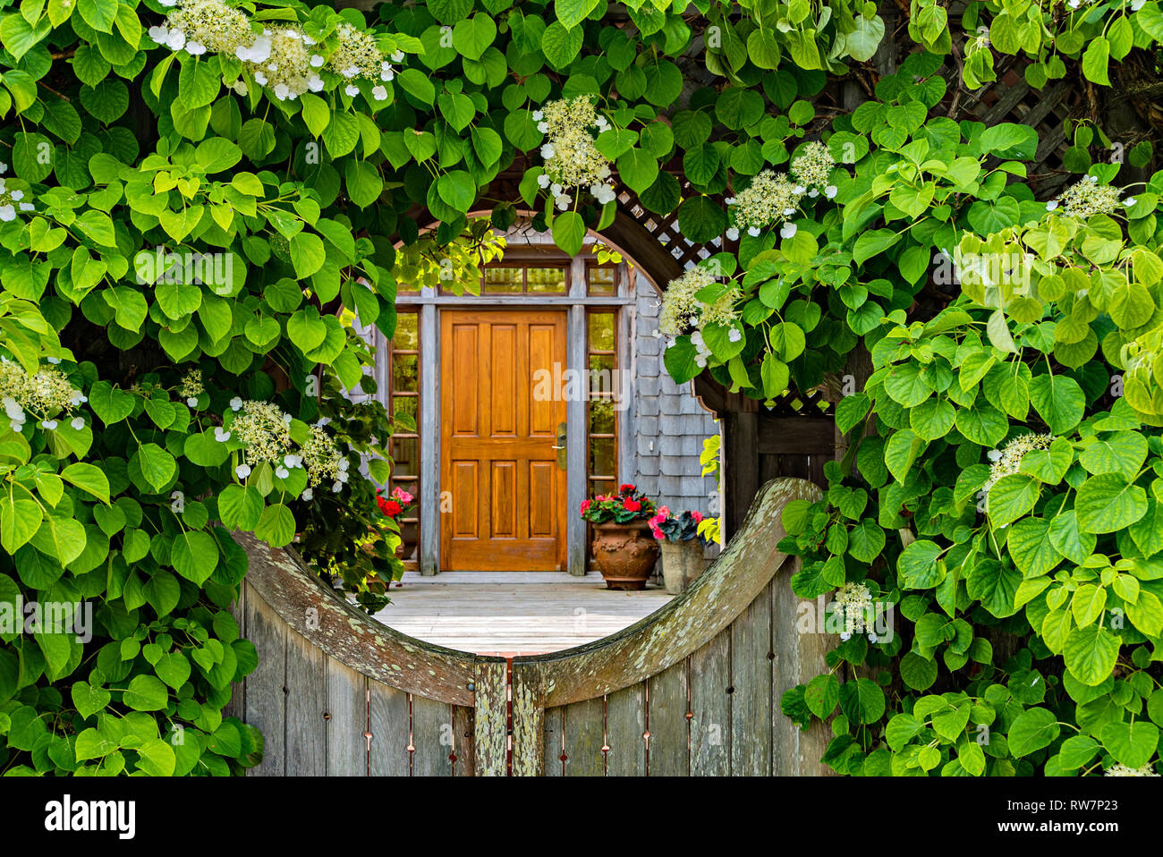 Gate & porta Foto Stock