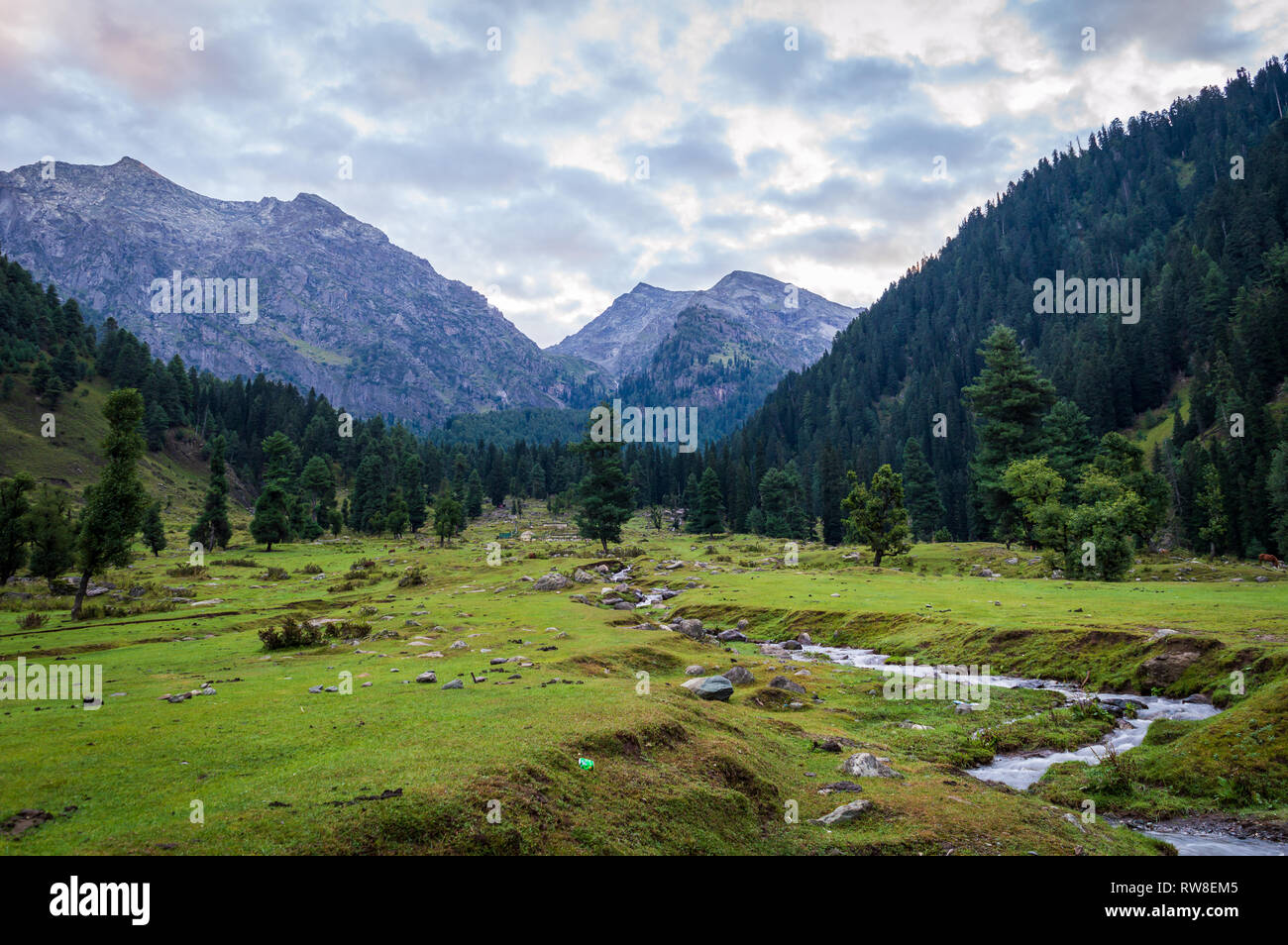 Un paesaggio di Himalaya in Kashmir con un prato in primo piano e un piccolo ruscello che scorre attraverso il prato Foto Stock