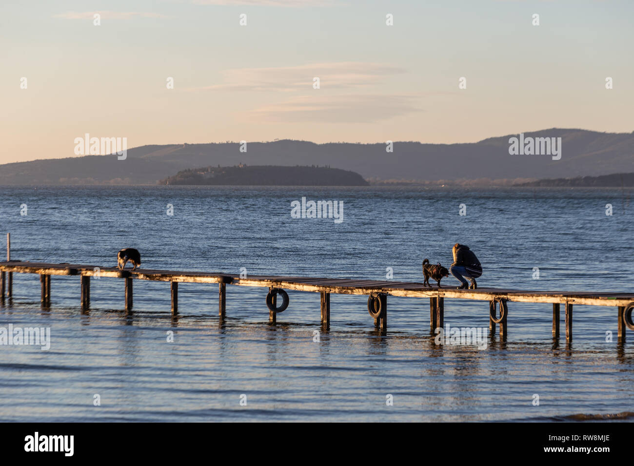 Due cani e una donna su un molo overa un lago, con caldo oro ore di luce Foto Stock