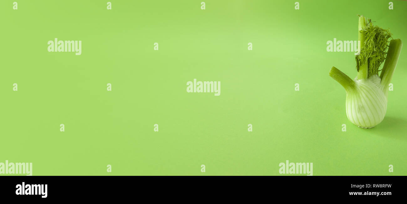 Finocchio fresco lampadina isolato su sfondo verde close up Banner Foto Stock