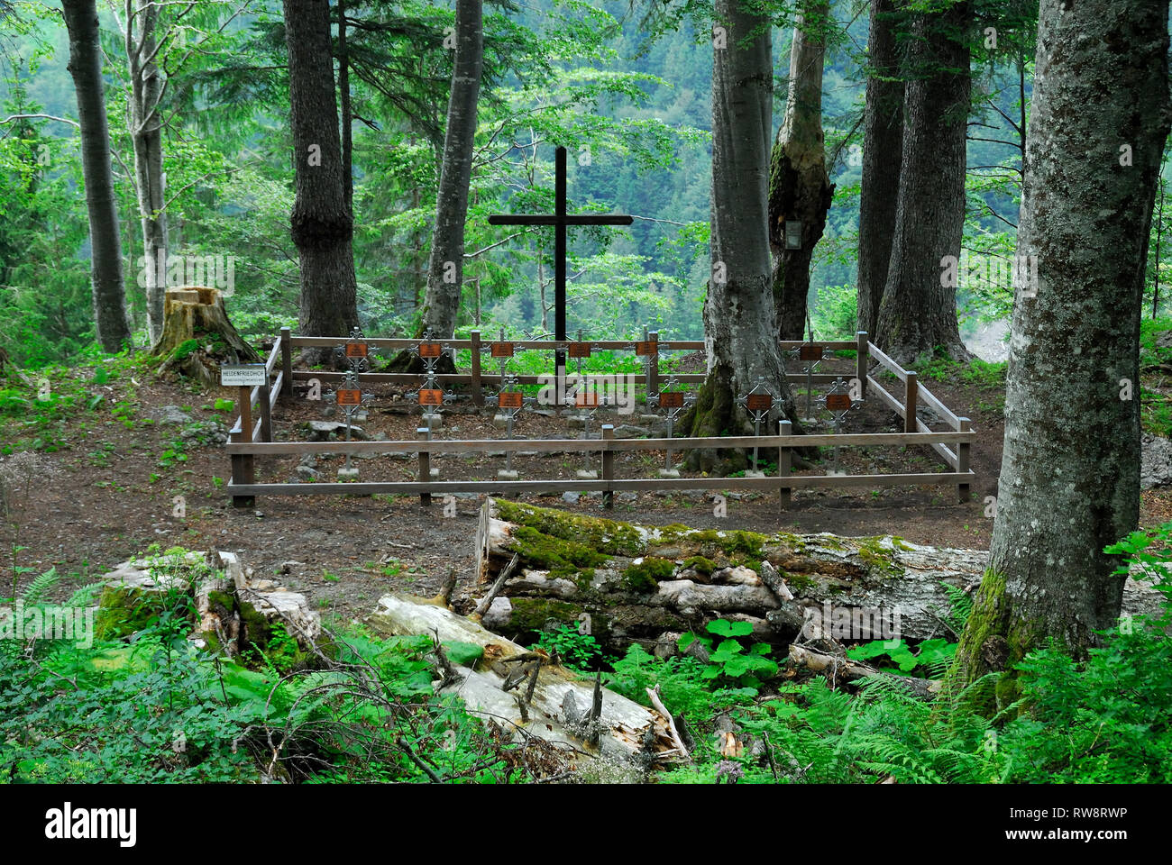 Plockenpass, Austria. La valle della rabbia di flusso in inverno. Durante la prima guerra mondiale in valle ci sono austriaco area dietro la parte anteriore e molti piccoli cimiteri di guerra.i cimiteri sono ancora visibili. Nella foto il piccolo cimitero della Boemia Infanterie Reggimentes n°21 che ha combattuto sul Kleiner Pal montagna. Foto Stock