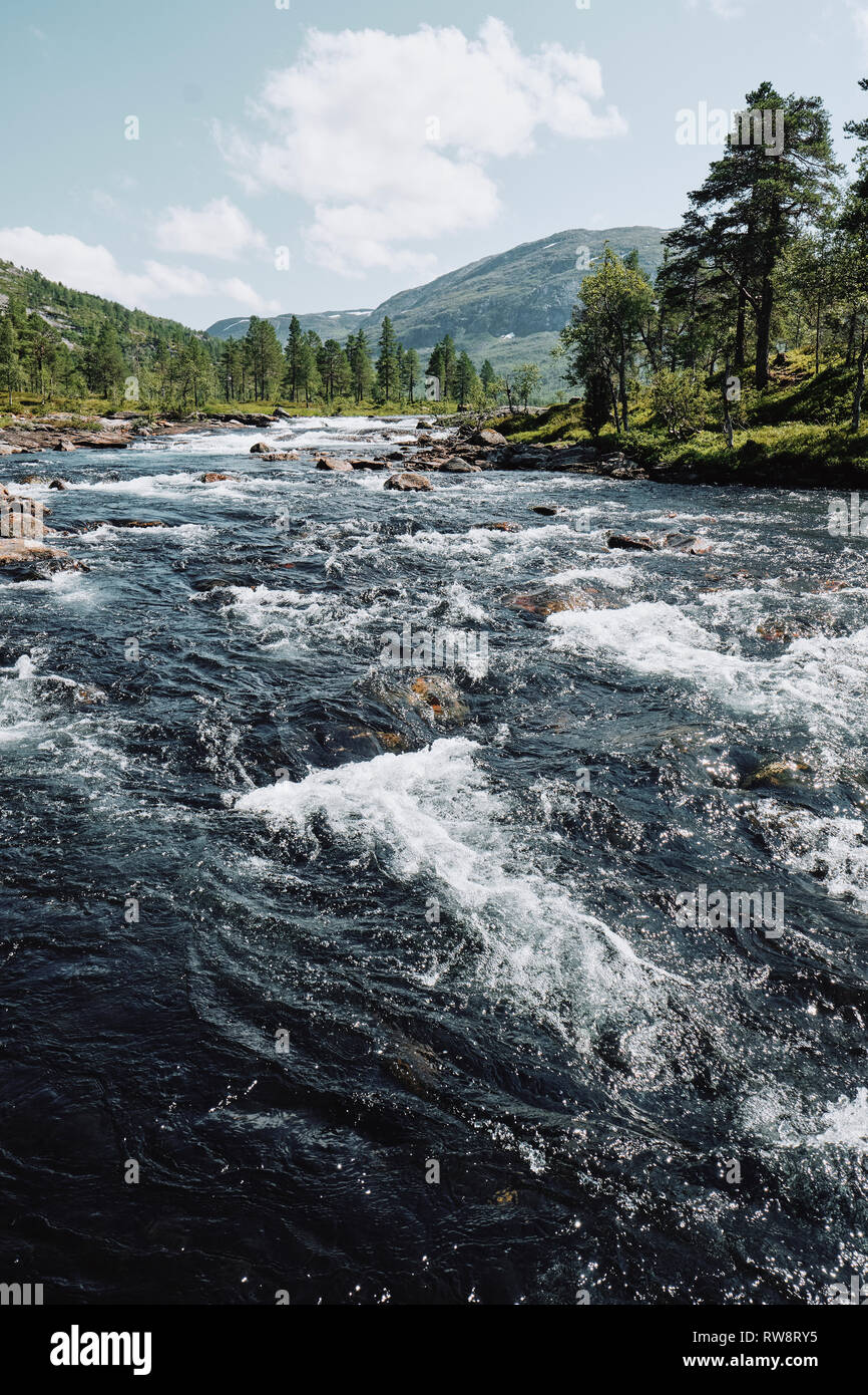 Il flusso rapido fiume Gaula paesaggio di Gaularfjellet in Sogn og Fjordane Norvegia. Foto Stock