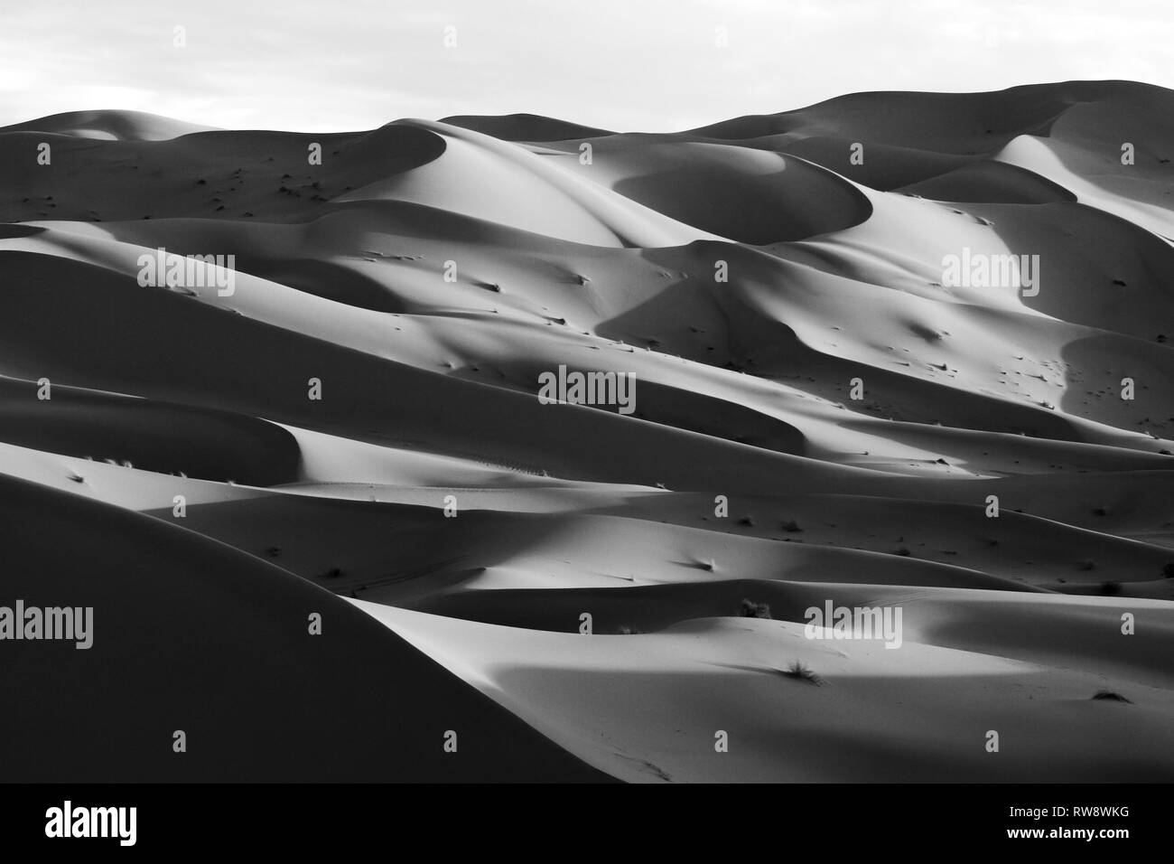 Panorama monocromatica del deserto del Sahara. Ombra e luce sulle alte dune di sabbia. Il Marocco, Africa del Nord. In bianco e nero. Foto Stock