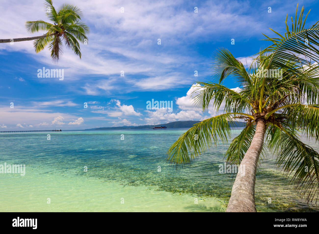 Paradise spiaggia tropicale di sfondo - mare calmo surf, palme e cielo blu - tropicale idilliaco resto sulla costa dell'isola Foto Stock