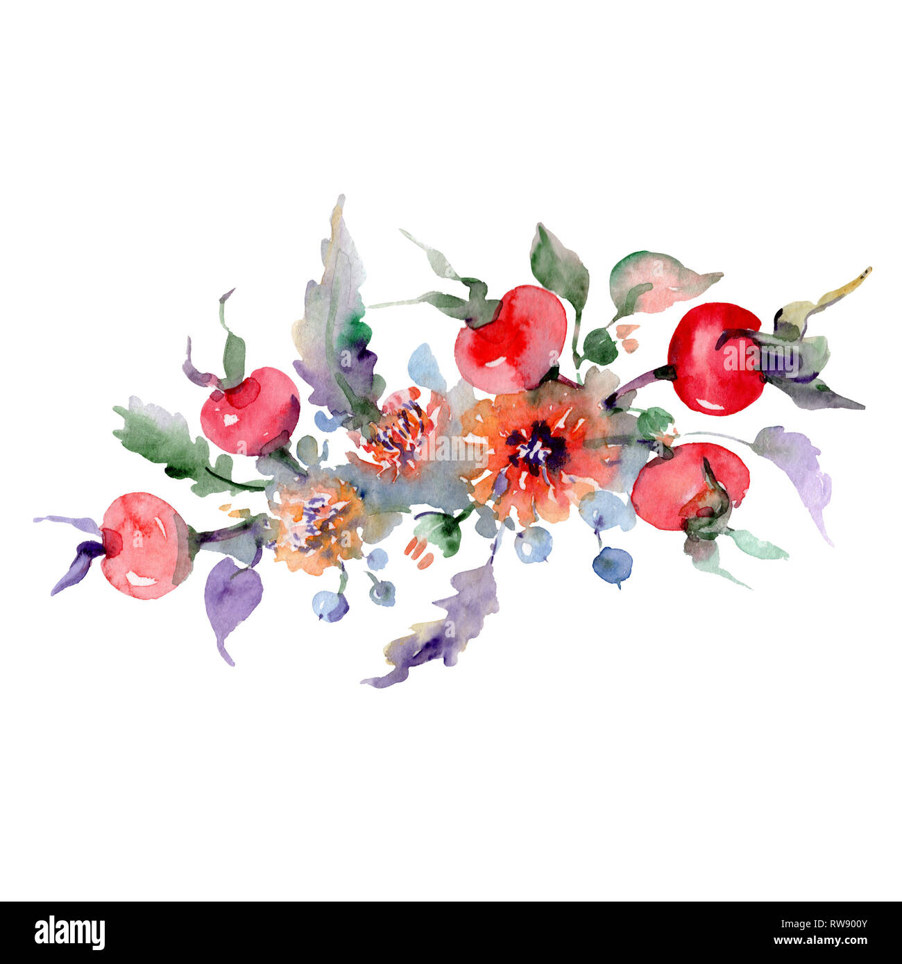 Bouquet Di Fiori E Di Frutti Wild Molla A Balestra Di Fiori Selvaggi Isolati Acquerello Illustrazione Dello Sfondo Impostato Disegno Ad Acquerello Fashion Aquarelle Foto Stock Alamy