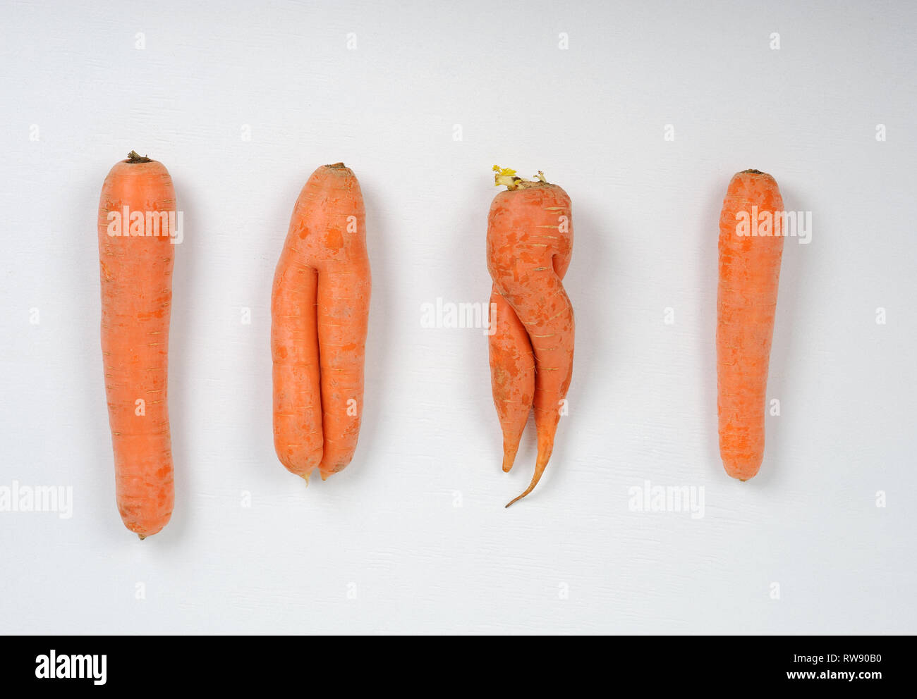 Brutto carote.It è appena come nutriente e gustosa come tutte le altre carote, ma è una forma leggermente diversa. Foto Stock