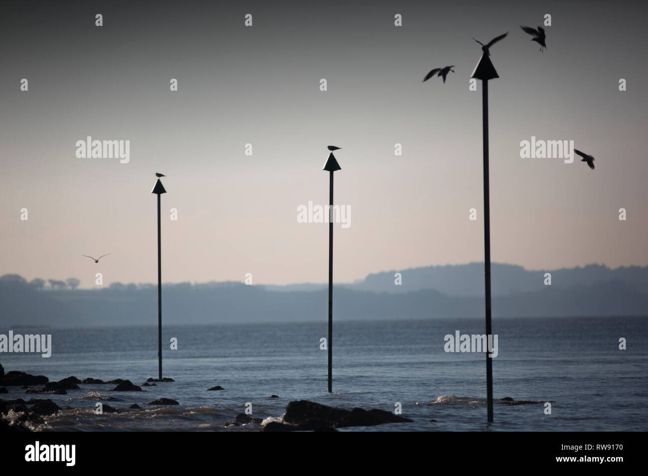 Rocce,posti, costa, costiere, Il Solent, cappone,Cowes, Isle of Wight, England, Regno Unito Foto Stock