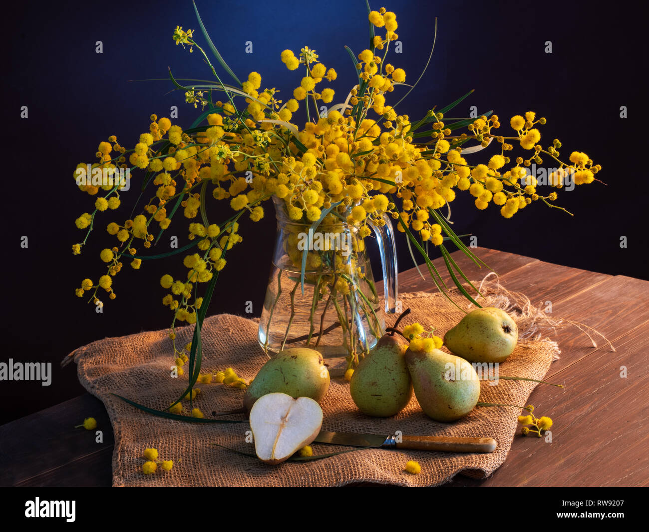 Bella la vita ancora con mimosa su uno sfondo blu. Foto Stock