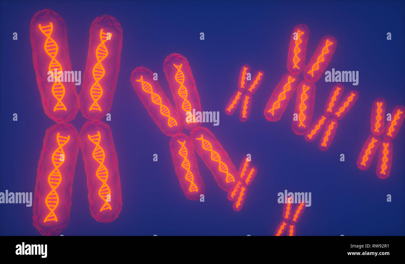 Trasparente di cromosomi x con incandescente elica di DNA / 3d'Illustrazione - Illustrazione Foto Stock