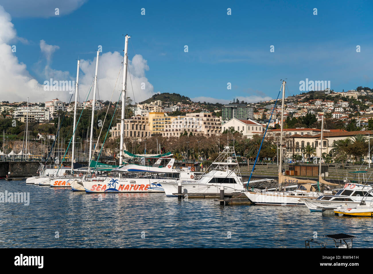 Marina di Funchal, Madeira, Portogallo, Europa | Marina di Funchal, Madeira, Portogallo, Europa Foto Stock