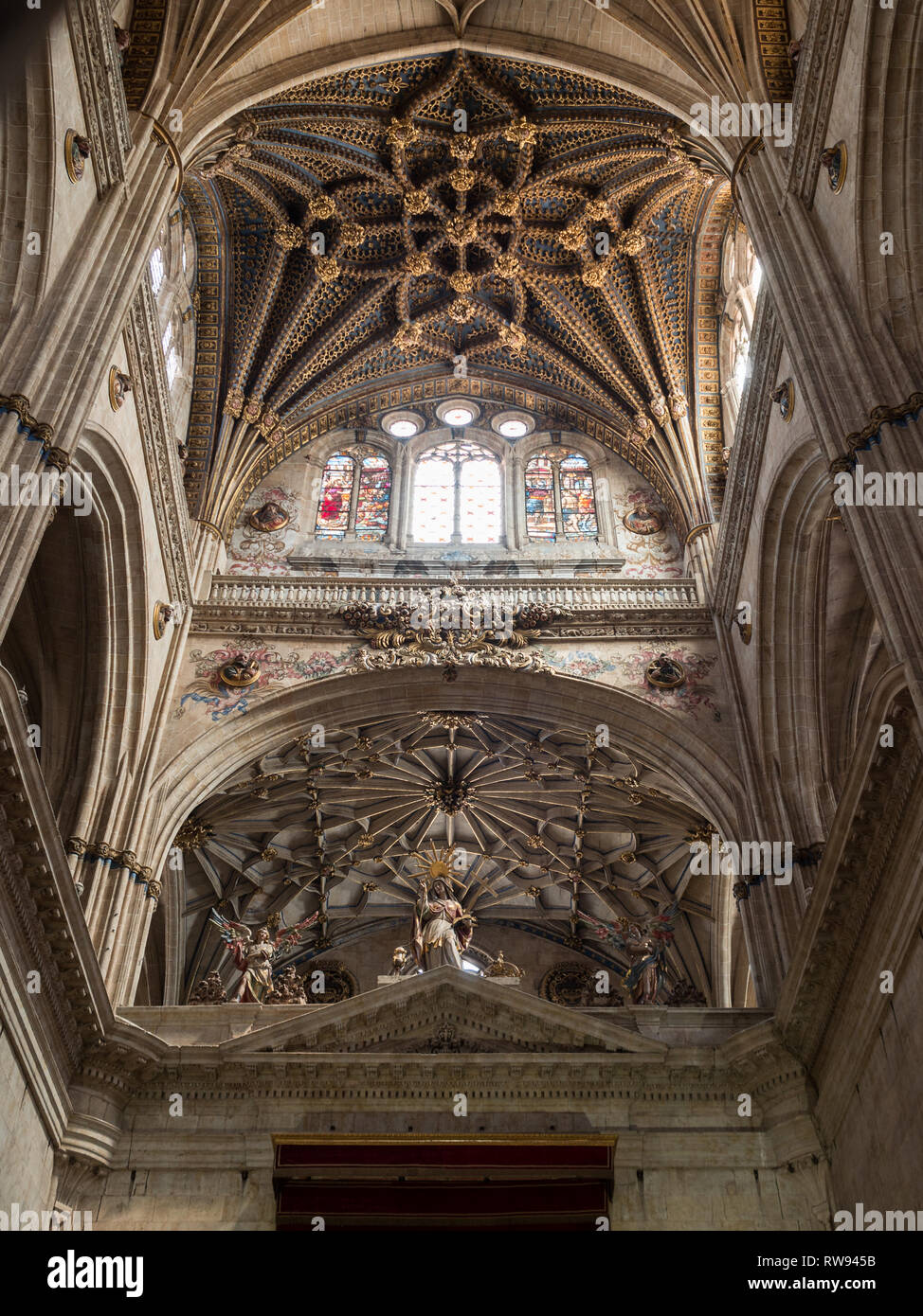 Salamanca cattedrale soffitto Foto Stock