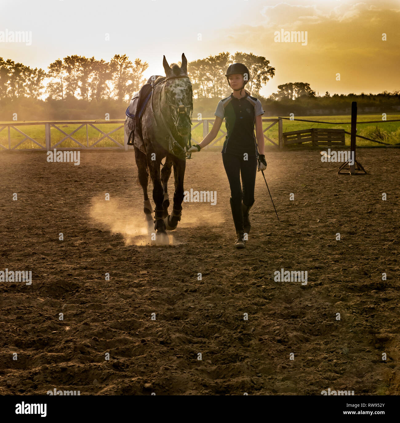 Bella ragazza jockey stare accanto al suo cavallo indossando particolari uniforme su un cielo e il verde dello sfondo dei campi su un tramonto Foto Stock