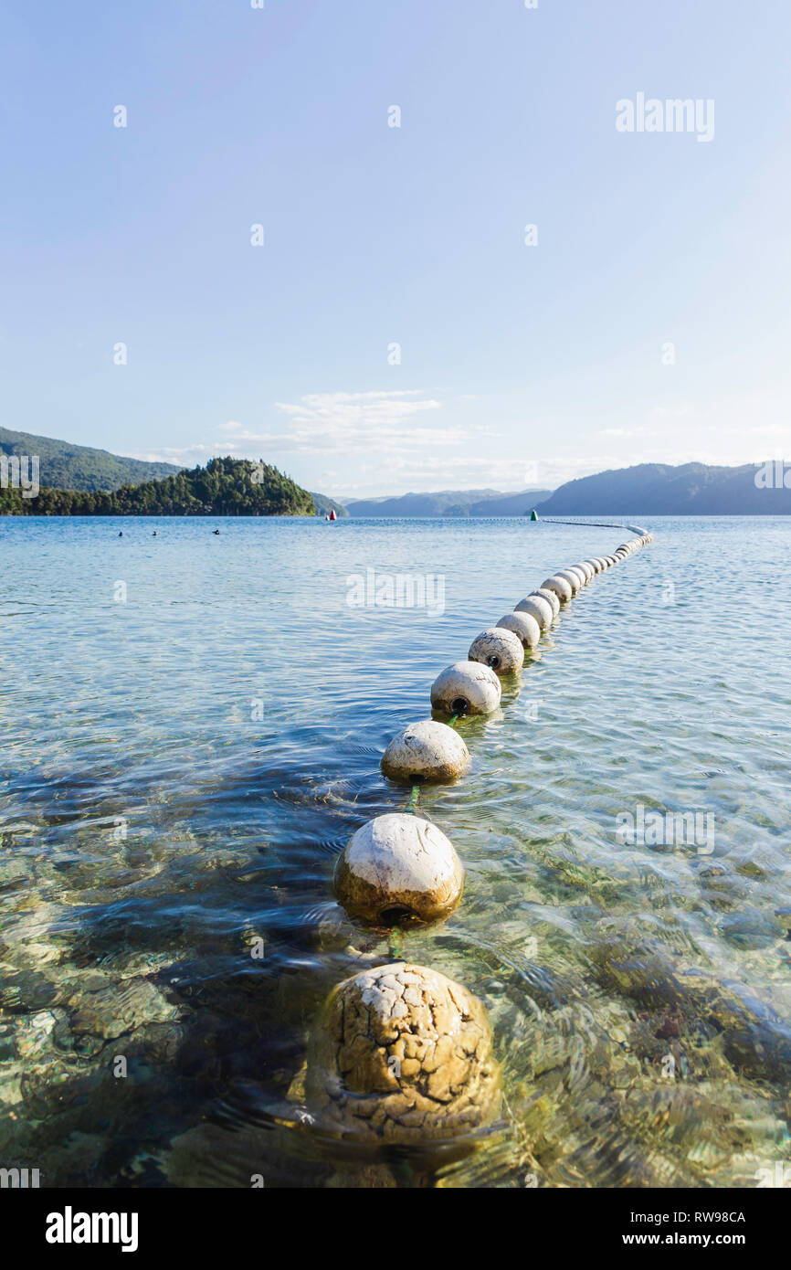 Linea di boe bianco sedersi sulla sommità delle acque del lago in Nuova Zelanda. Foto Stock